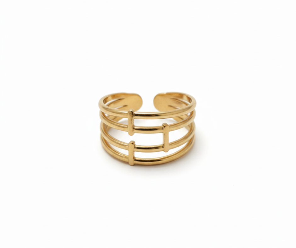 Anillos